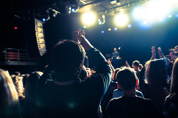 Wall Mural - The crowd during concert