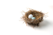 White And Green Eggs In Bird Nest