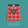Scottish traditional skirt kilt with square pattern vector illustration