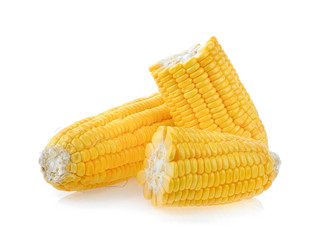 Wall Mural - corn on white background