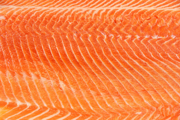 Wall Mural - fresh salmon fillet background