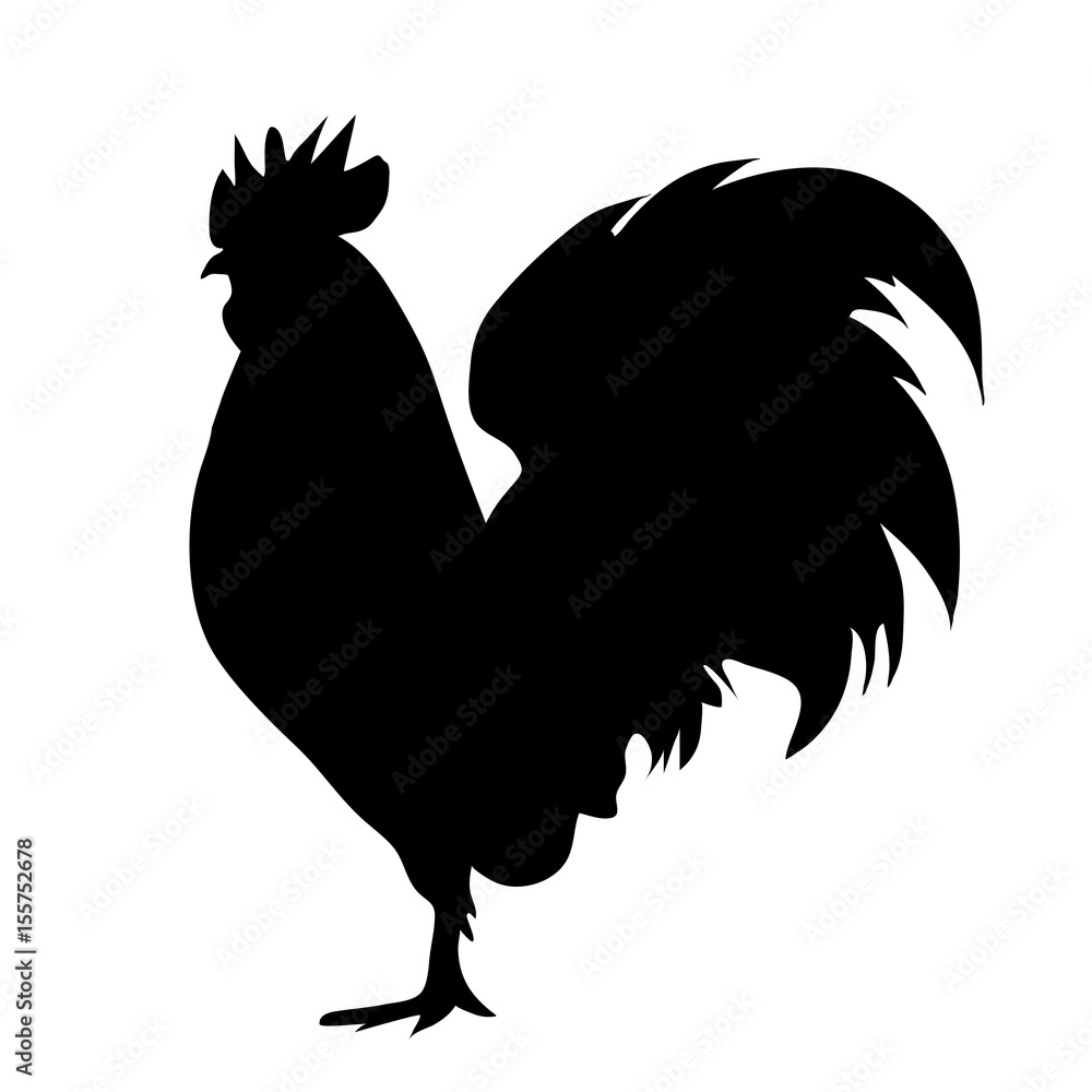 Vector silhouette of rooster on white background. - obrazy, fototapety, plakaty 