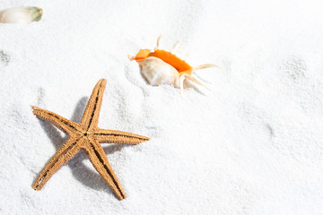 Starfish on white sand, for summer background with copy space