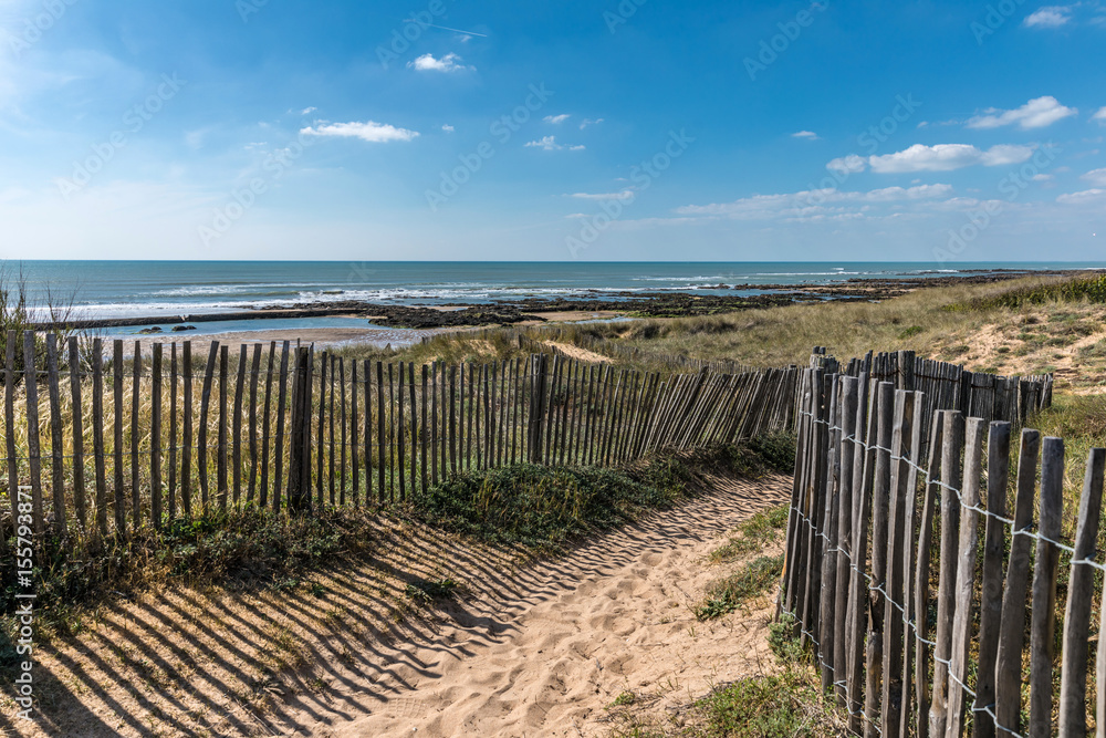 Photo Art Print Chemin Dans Les Dunes Vers La Plage De La