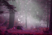 Dreamy Fairytale Forest Scene With Magic Fireflies, Foggy Surreal Forest