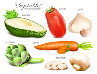 Vegetables. Collection of illustrations. Vector illustration.