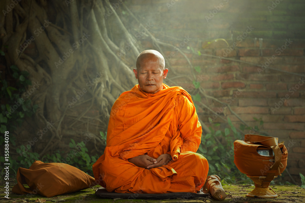 Buddhist monks are reading Novice learning,Thailand,vintage style - obrazy, fototapety, plakaty 
