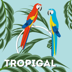 Sticker - beautiful guacamaya over tropical palms, vector illustration