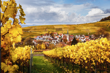 Wall Mural - Picturesque autumn countryside landscape with colorful vineyards and historic village. Black Forest, Germany. Scenic wine-making and hiking background. Popular travel destination.