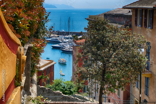 skyline santa margherita ligure Poster Mural XXL