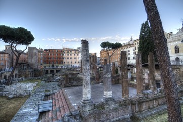 Wall Mural - Square of Largo di Torre Argentina in Rome, Italy