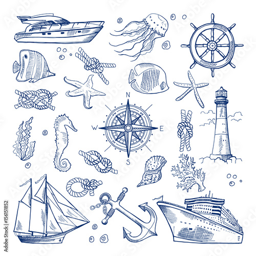 Cuadros en Lienzo Sea or ocean underwater life with different animals and marine objects