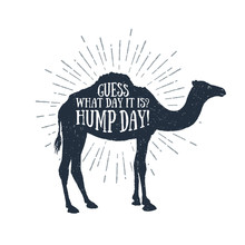 Hand Drawn Label With Textured Camel Vector Illustration And "Guess What Day It Is? Hump Day!" Funny Lettering.