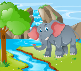 Wall Mural - Wild elephant by the waterfall