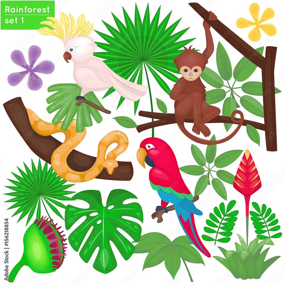 Rainforest and jungle life set. Tropical animals and plants. Vector  illustration. Cartoon style Stock Vector | Adobe Stock, image size:1000x1000