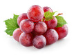 Ripe fresh wet red grape with leaves isolated on white. With clipping path. Full depth of field.