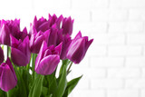 Fototapeta Tulipany - Beautiful tulips on light background