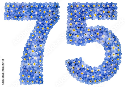 Arabic numeral 75, seventy five, from blue forget-me-not flowers Poster