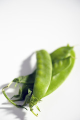 freshly picked snow peas from Pennsylvania, USA