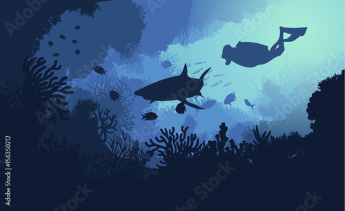 Marine Underwater Flora And Fauna Background
