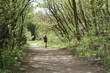 © Karine - Courrir dans le bois