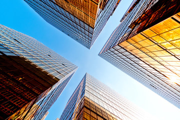 Canvas Print - Glass commercial skyscrapers in perspective