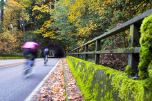 Cyclists On The Autumn Road With Bridge And Tunnel