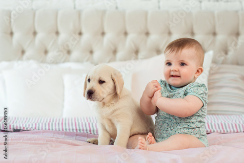 48 Reasons why babies and puppies are alike!