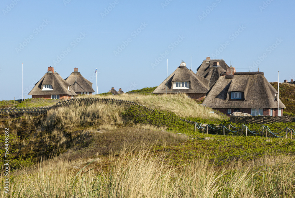 Thatched-roof summer houses at Hörnum, Sylt - obrazy, fototapety, plakaty 