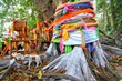 Big tree covered by powder and tied with multicolor fabrics (Faith of thai people) at Wat Pa Kham Chanod, Buddhist Temple in Udon Thani, Thailand