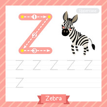 Letter Z Uppercase Tracing Practice Worksheet With Zebra For Kids Learning To Write. Vector Illustration.