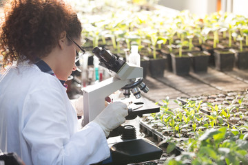 scientist looking at microscope in greenhouse