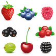 strawberry-blueberry-raspberry-blackberry-cherry-black currant-cranberry