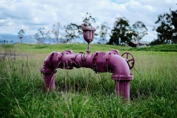 Pipe Landscape