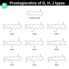 Wall Mural - Prostaglandins of g, h, j types