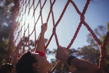 Wall Mural - Fit woman climbing a net during obstacle course training