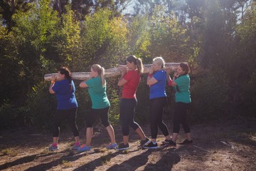 Wall Mural - Group of fit women carrying a heavy wooden log 