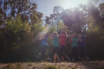 Wall Mural - Group of fit women carrying a heavy wooden log 