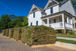 Horizontal photo of green and brown sod on wooden pallets with partial white house and trees in the background