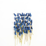 Fototapeta Lawenda - Beautiful blue muscari flowers on white background. Flat lay, top view. Creative flower concept
