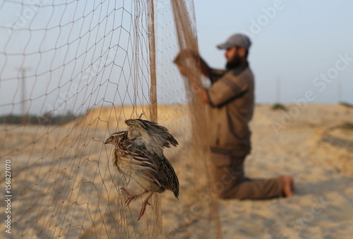 Amazing Quick Bird Perch Snare Trap In Cambodia - Traditional Bird Traps Homemad