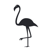 Vector Illustration Of Black Silhouette Flamingo