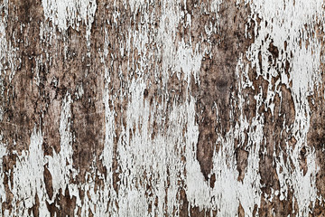 Wall Mural - wood