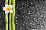 Fototapeta Bambus - frangipani and bamboo