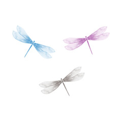 Wall Mural - Dragonfly vector illustration