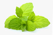 Mint leaves isolated closeup.