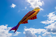 Huge  Fish Kite Hovering In The Blue Sky At Kite Festival In Moscow