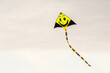 © HAFIZULLAH - Street hawker selling Kites at Kites Park . Close up photo.