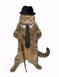 The cat dandy is holding a cane. White background.