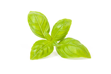 Wall Mural - basil isolated